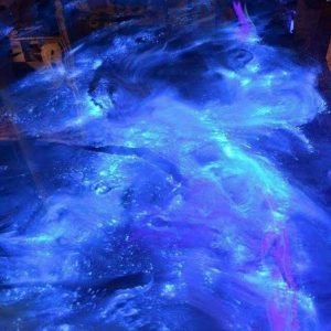 WhatsApp Image 2026-01-12 at 1.39.09 PM (1)