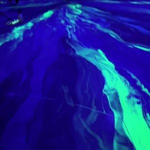 WhatsApp Image 2026-01-12 at 1.39.10 PM (1)