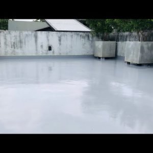 WhatsApp Image 2026-01-15 at 11.28.04 AM (1)