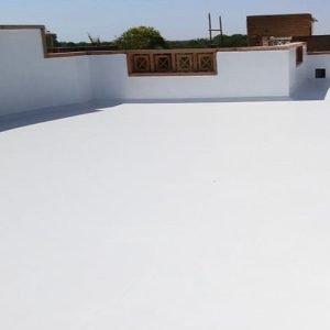 WhatsApp Image 2026-01-15 at 11.28.05 AM (1)